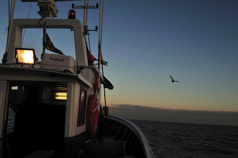 Fileyeur St Jean de Luz ab2.JPG